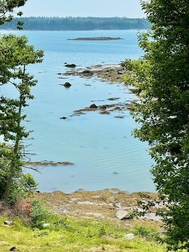 54 Harbor Hills Ln, Addison, ME 04606 - water view with a forest
