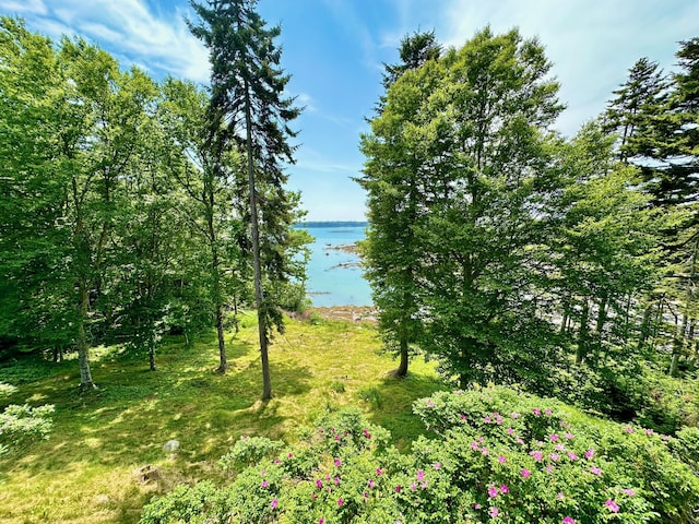 54 Harbor Hills Ln, Addison, ME 04606 - water view