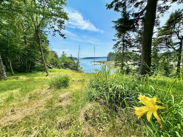 54 Harbor Hills Ln, Addison, ME 04606 - water view