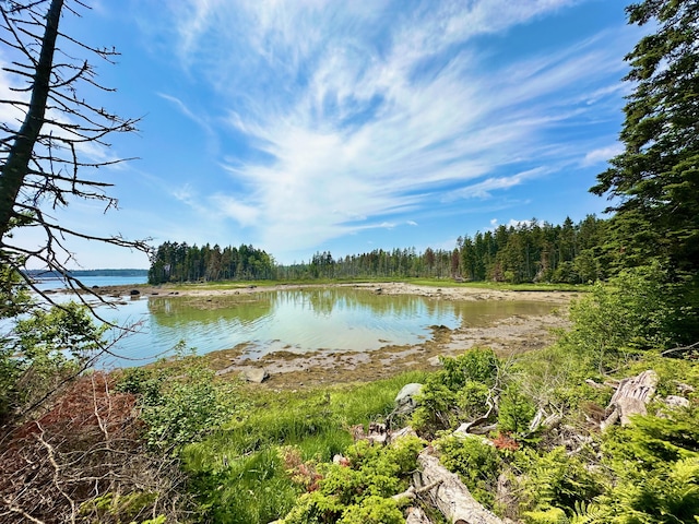 54 Harbor Hills Ln, Addison, ME 04606 - water view with a forest