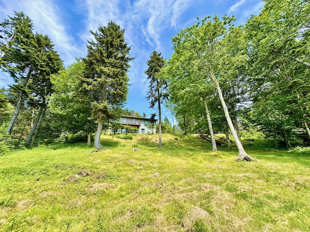 54 Harbor Hills Ln, Addison, ME 04606 - view of yard