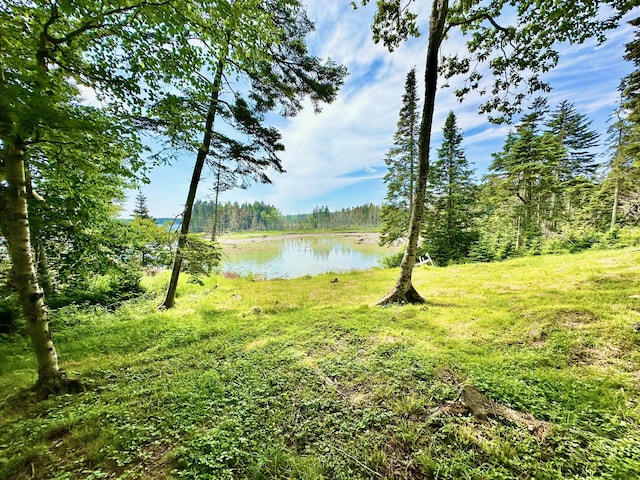 54 Harbor Hills Ln, Addison, ME 04606 - water view