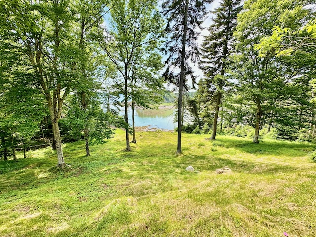 54 Harbor Hills Ln, Addison, ME 04606 - view of yard with a water view