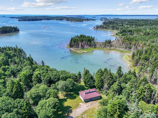 54 Harbor Hills Ln, Addison, ME 04606 - drone / aerial view of a forest and a nearby body of water