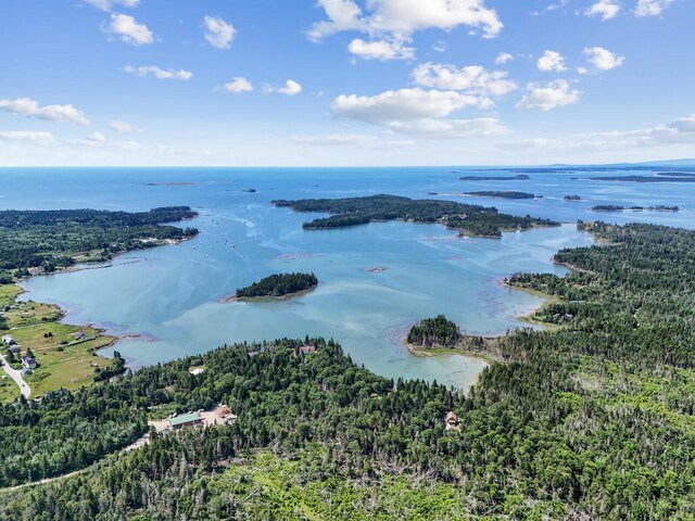 54 Harbor Hills Ln, Addison, ME 04606 - drone / aerial view of a large body of water and a heavily wooded area