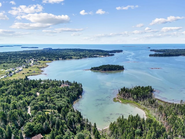 54 Harbor Hills Ln, Addison, ME 04606 - drone / aerial view of a large body of water