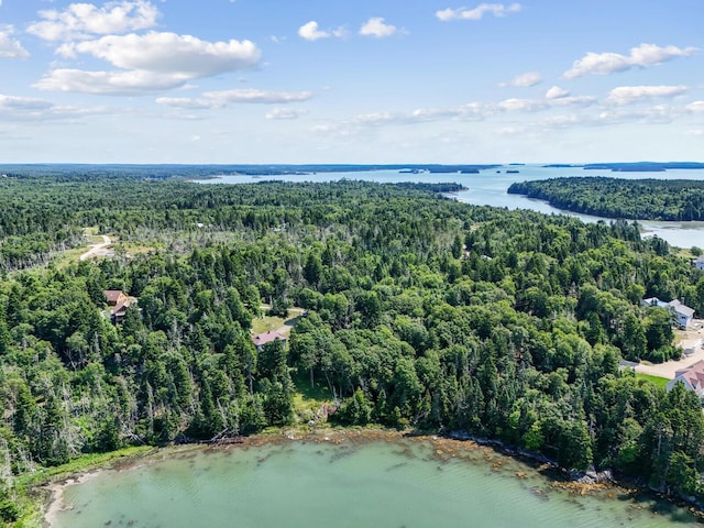 54 Harbor Hills Ln, Addison, ME 04606 - aerial overview of property's location with a heavily wooded area and a nearby body of water