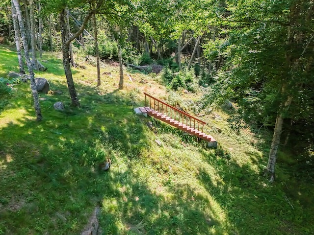 54 Harbor Hills Ln, Addison, ME 04606 - view of yard with a view of trees
