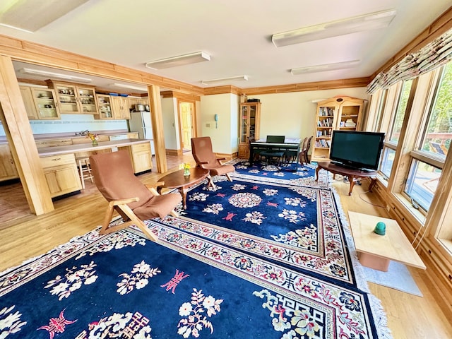 54 Harbor Hills Ln, Addison, ME 04606 - living room featuring light wood finished floors