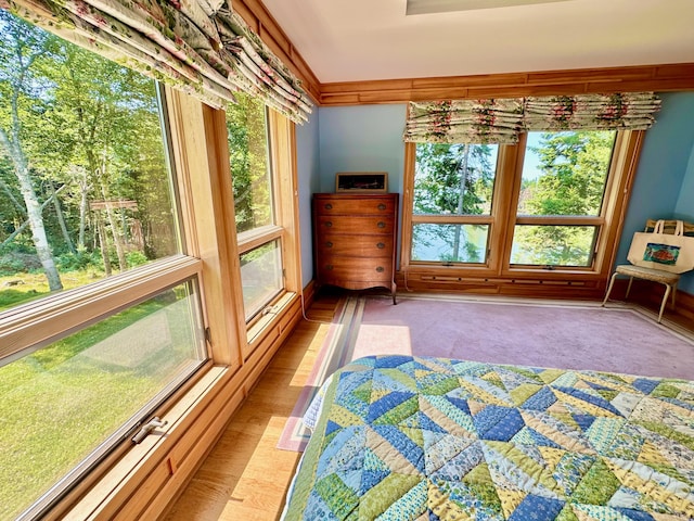 54 Harbor Hills Ln, Addison, ME 04606 - view of bedroom