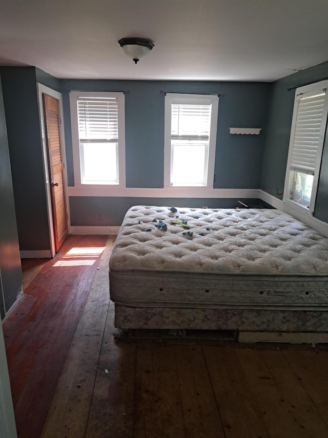 bedroom featuring hardwood / wood-style flooring, a closet, and multiple windows