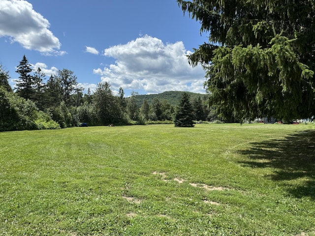 view of yard with a forest view