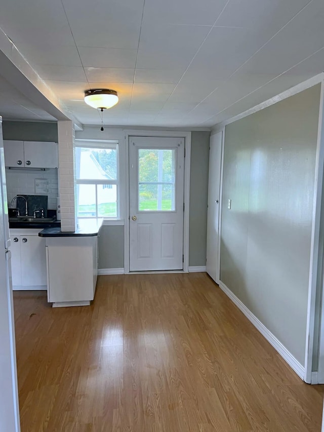 doorway to outside featuring light hardwood / wood-style flooring and sink