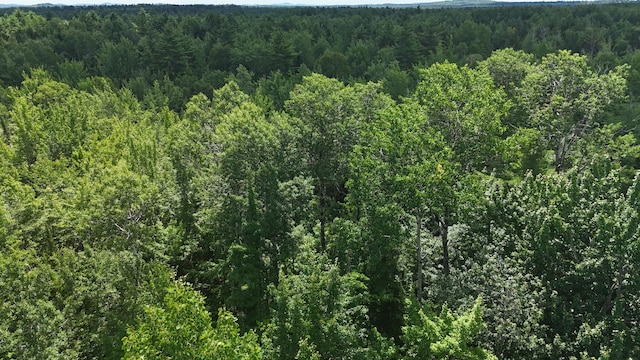 100 E Ridge Rd, Greenbush, ME 04418