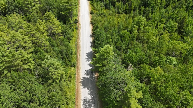 100 E Ridge Rd, Greenbush, ME 04418