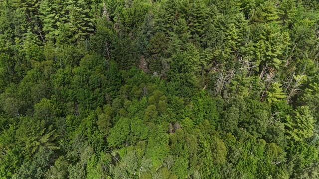 100 E Ridge Rd, Greenbush, ME 04418
