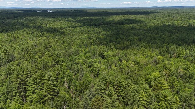 100 E Ridge Rd, Greenbush, ME 04418