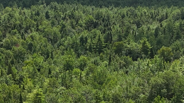 100 E Ridge Rd, Greenbush, ME 04418
