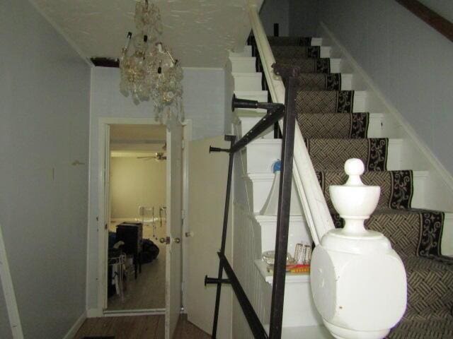 bathroom featuring hardwood / wood-style floors