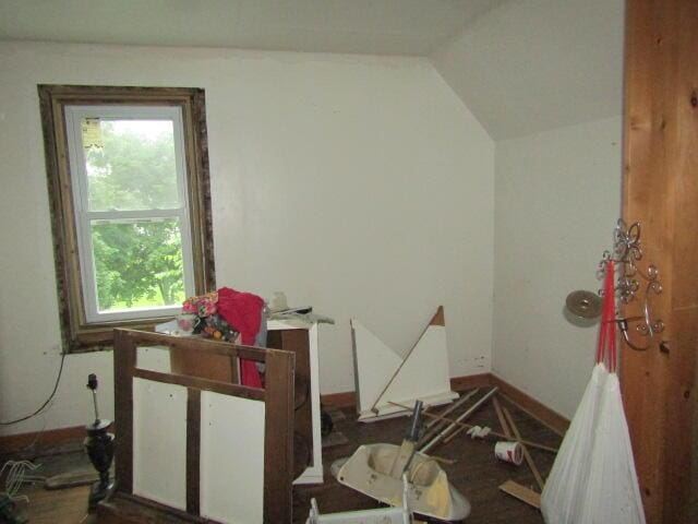 miscellaneous room featuring vaulted ceiling