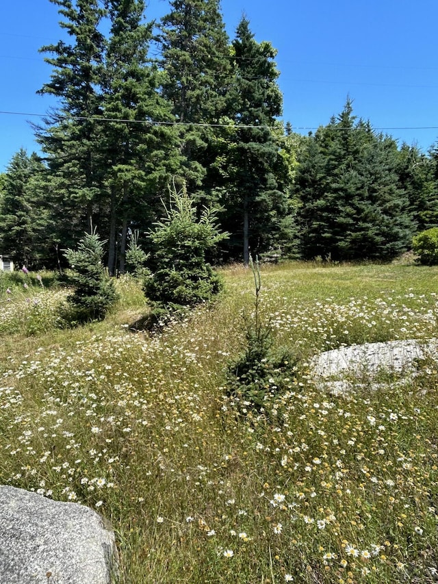 30 Steamboat Rd, Swans Island, ME 04685 - view of landscape