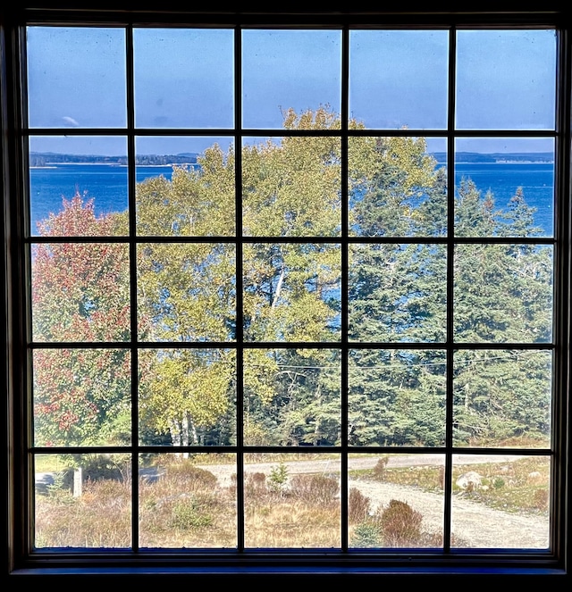 30 Steamboat Rd, Swans Island, ME 04685 - details with a water view