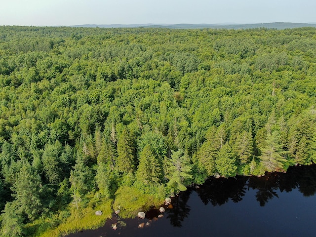 286 Abbee Pond Rd, Brownville, ME 04414 - photo 4