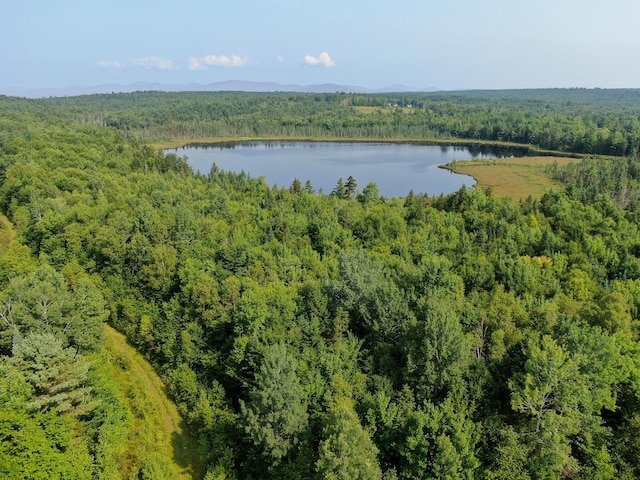 286 Abbee Pond Rd, Brownville, ME 04414 - photo 5