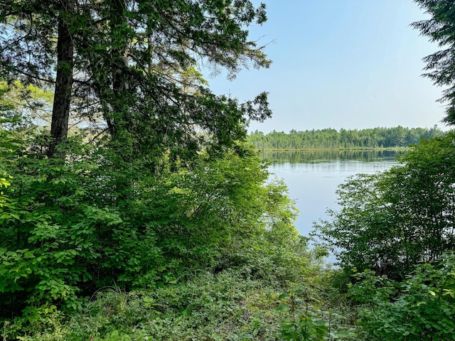 286 Abbee Pond Rd, Brownville, ME 04414 - photo 10
