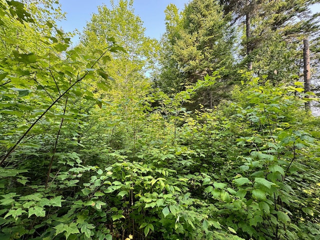 286 Abbee Pond Rd, Brownville, ME 04414 - photo 13