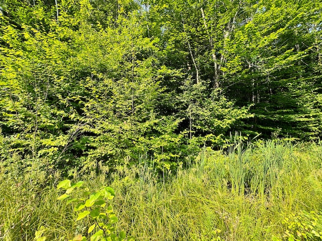 286 Abbee Pond Rd, Brownville, ME 04414 - photo 18