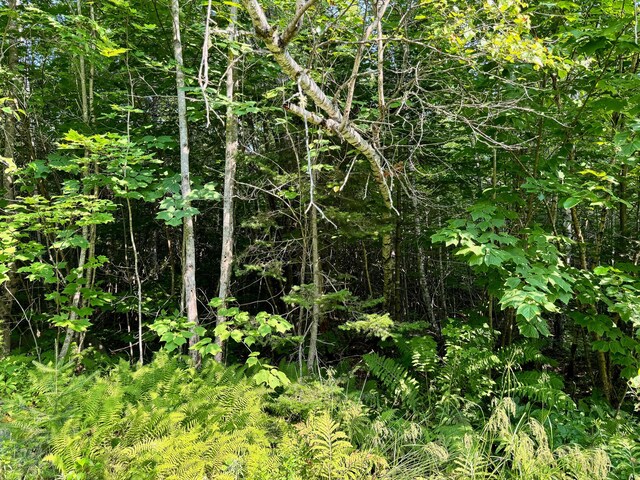 286 Abbee Pond Rd, Brownville, ME 04414 - photo 22