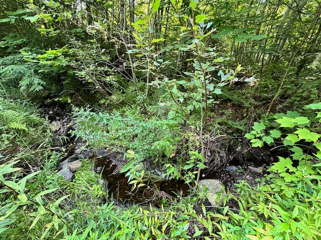 286 Abbee Pond Rd, Brownville, ME 04414 - photo 24