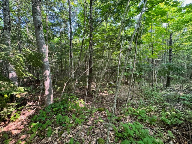 286 Abbee Pond Rd, Brownville, ME 04414 - photo 26