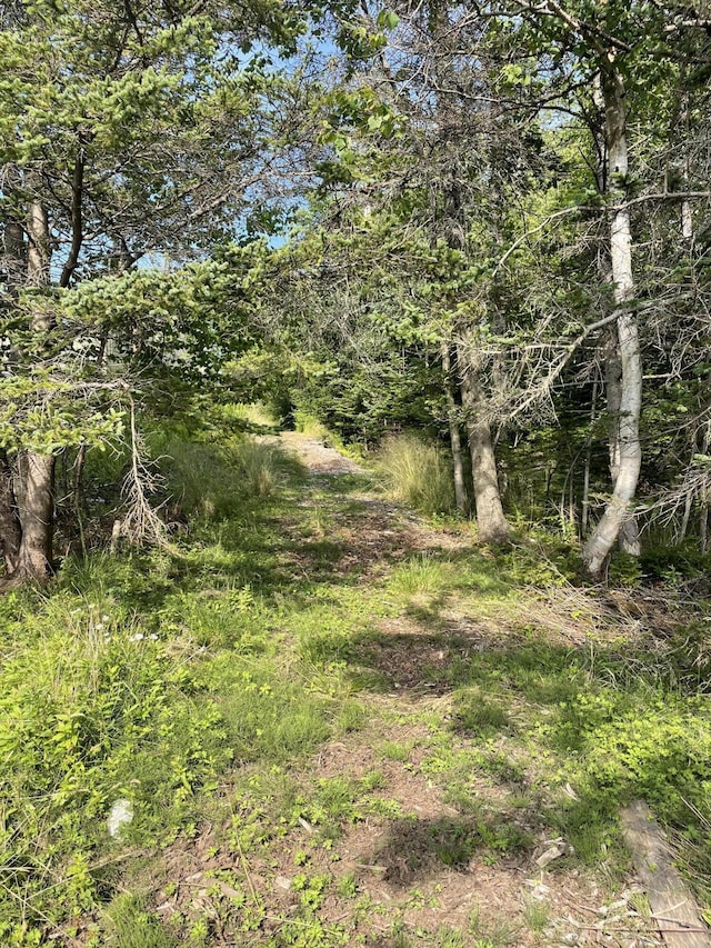 LOT1 Sophies Way, Tremont, ME 04653