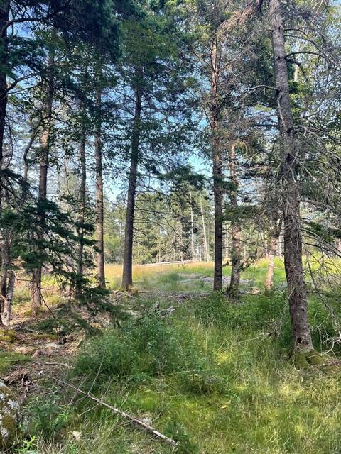 LOT1 Sophies Way, Tremont, ME 04653