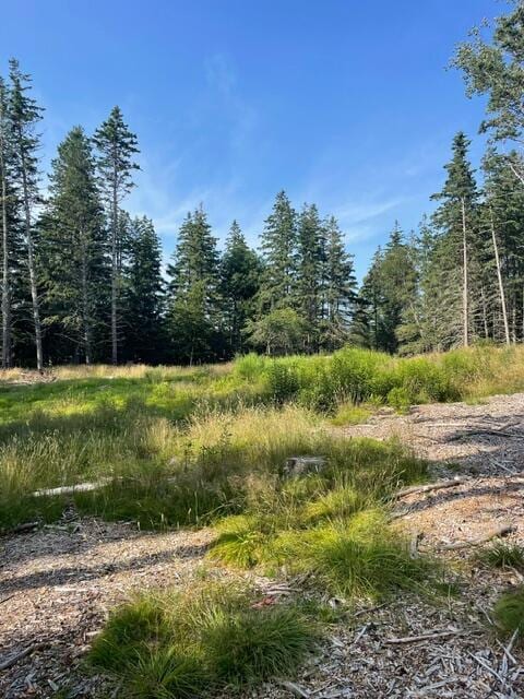 LOT1 Sophies Way, Tremont, ME 04653