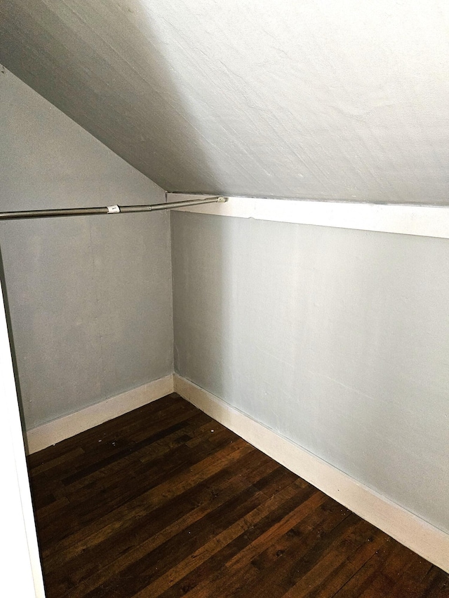 spacious closet featuring lofted ceiling and dark wood-type flooring