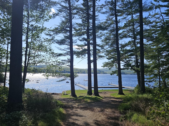 property view of water with a boat dock