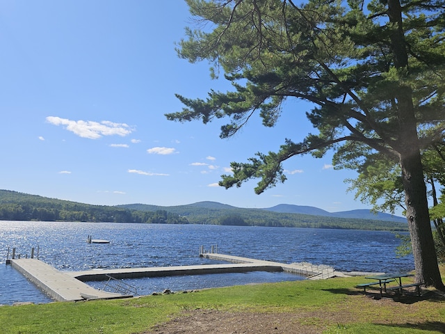 dock area with a water and mountain view
