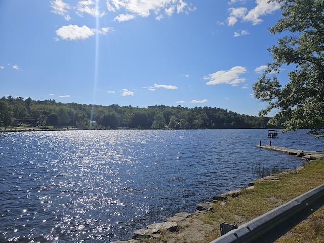 property view of water featuring a view of trees