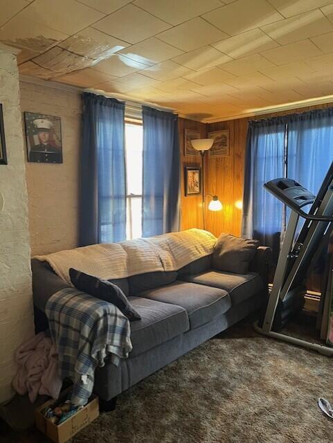 carpeted living room featuring wood walls