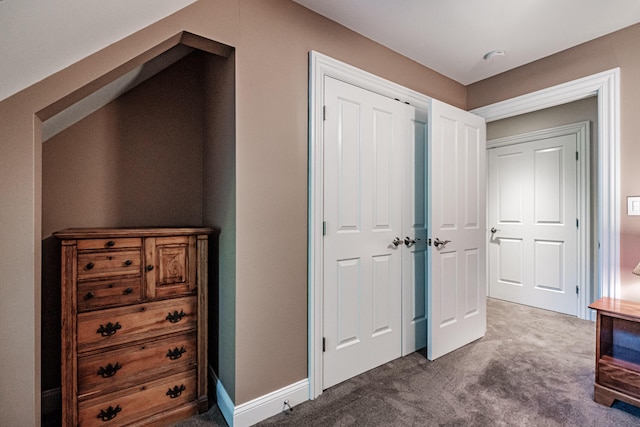 interior space with carpet flooring and a closet