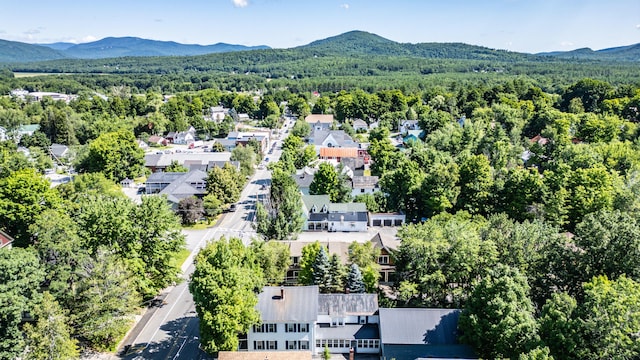 aerial view with a mountain view