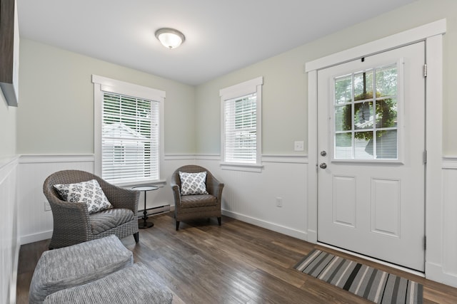 foyer featuring a baseboard heating unit, dark wood-type flooring, and a healthy amount of sunlight