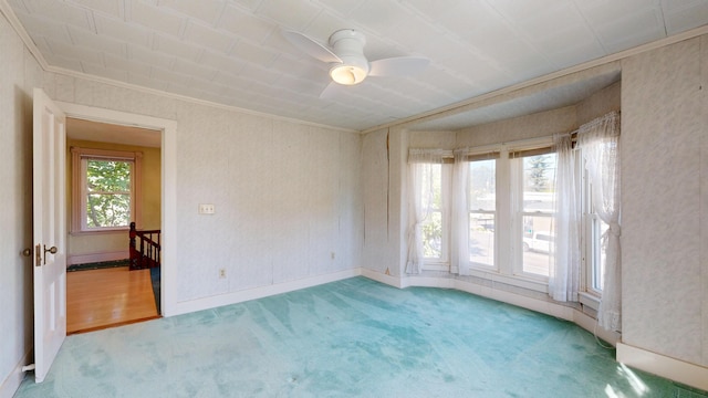 empty room with ceiling fan, crown molding, and carpet flooring