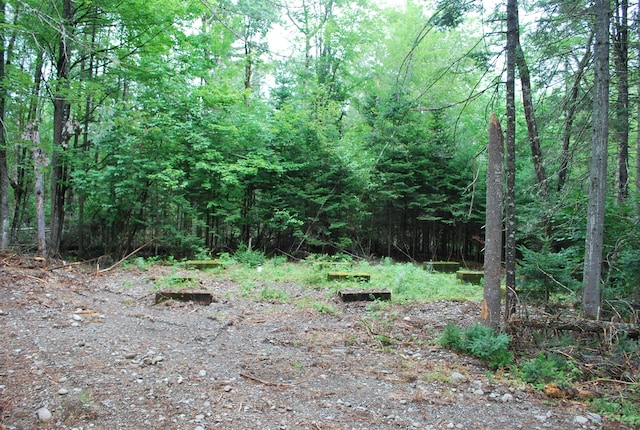 Listing photo 3 for LOT18 Moose Run Rd, Wellington ME 04942