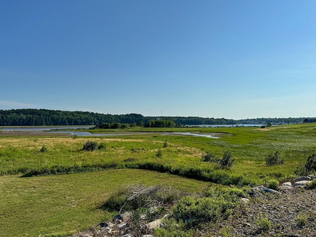 view of local wilderness with a rural view and a water view