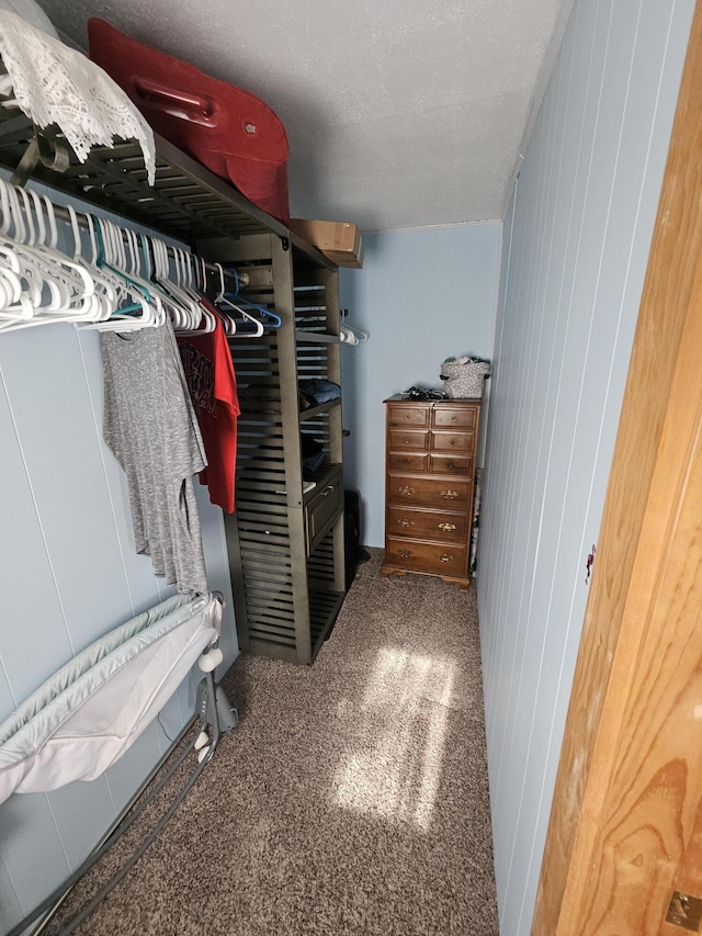 spacious closet featuring carpet