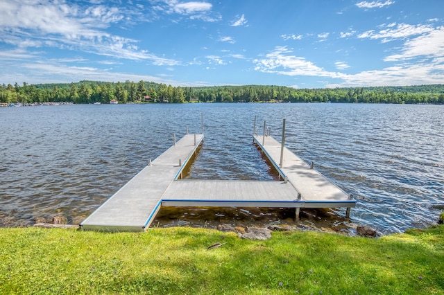 dock area with a water view